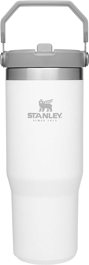 STANLEY IceFlow Stainless Steel Tumbler with Straw, Vacuum Insulated Water Bottle for Home, Office or Car, Reusable Cup with Straw Leak Resistant Flip